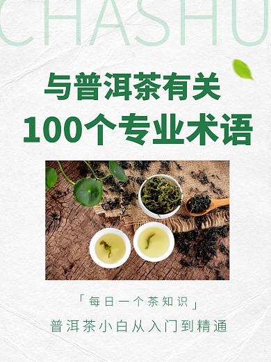茶叶知识术语科普简约宣传小红书