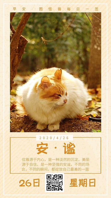 萌宠摄影篇照片日签黄色扁平公众号营销海报