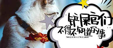 动物铲屎官不得不知道的事公众号