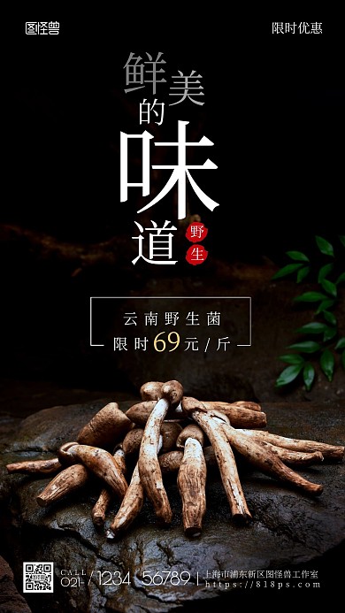 野生鸡枞菌促销优惠手机摄影图海报 