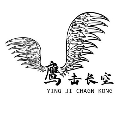 大气创意鹰击长空logo