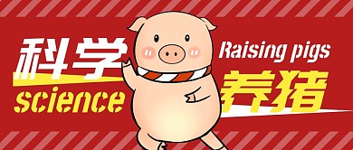 公众号封面养猪红色简约公众号首图