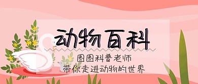 动物科普公众号封面