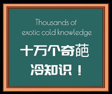 简约风新媒体摄影排版小红书封面