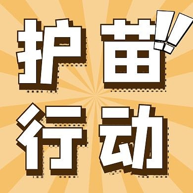 护苗行动橘色简约红包公众号次图