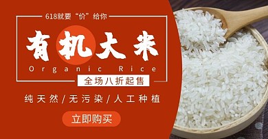 盘锦有机大米简约棕色海报