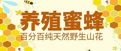 创意简约卡通蜜蜂红包公众号首图