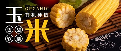 玉米黄色简约新媒体公众号首图