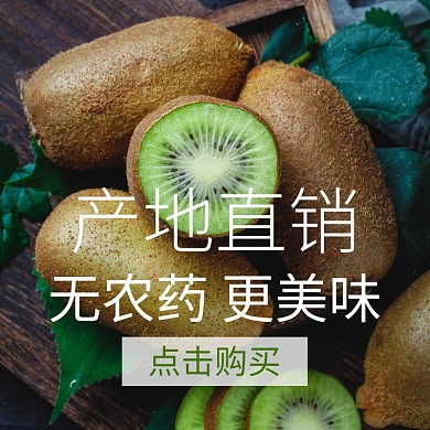 产地直销猕猴桃聚划算主图直通车