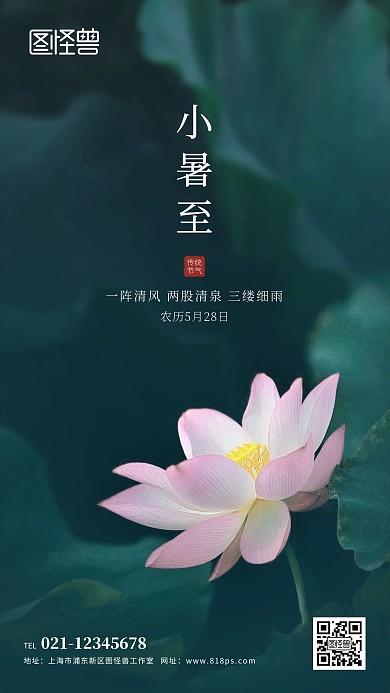 小暑节气摄影图手机海报