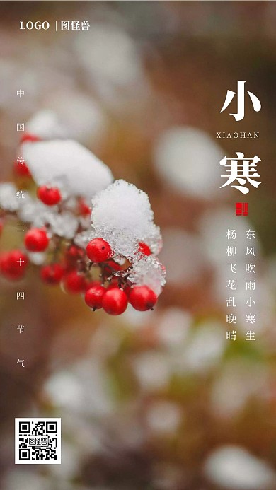 摄影图简约大气节日励志小寒日签设计