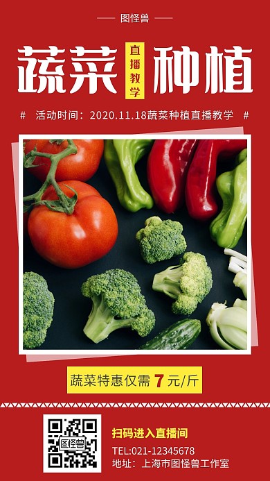 蔬菜种植教学红色简约营销手机海报