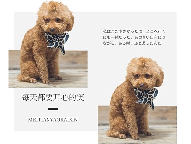 日系温暖治愈系柯基犬笑容公众号配图