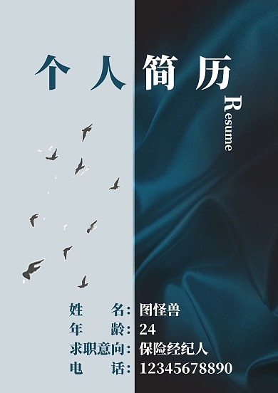 大气商务深蓝色保险求职简历封面