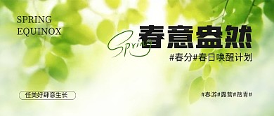 创意质感二十四节气春分公众号首图背景