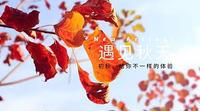 初秋新品上市唯美公众号封面模版