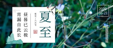 简约中式夏至节气荷花荷塘公众号封面首图