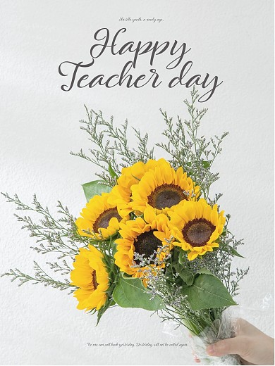 简约教师节祝福PLOG模板