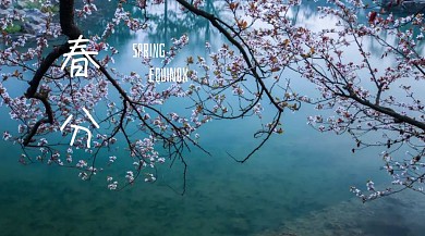 春分简约spring公众号封面模版