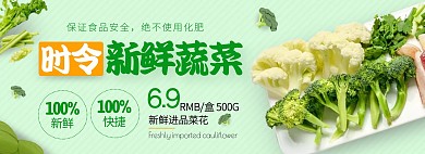 时令季节性蔬菜菜花海报bannner