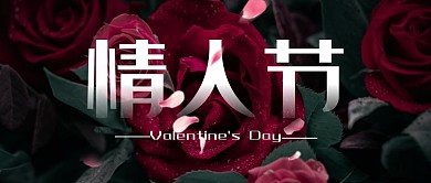 2021情人节来了简约玫瑰公众号封面首图