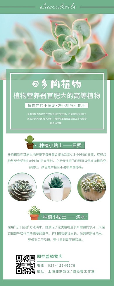 清新简约摄影种植植物营销长图
