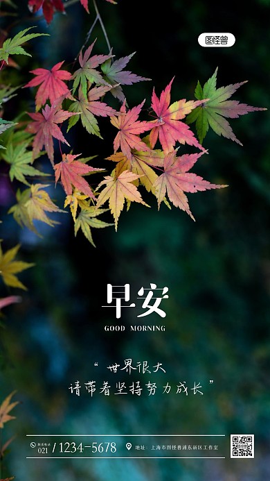 简约大气绿色早安积极向上励志摄影图海报