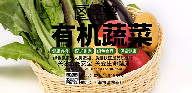 有机蔬菜宣传海报
