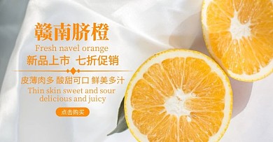 赣南脐橙轮播食品水果橙子横版海报