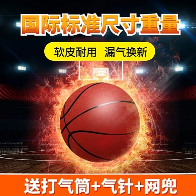 电商户外运动球类篮球足球直通车