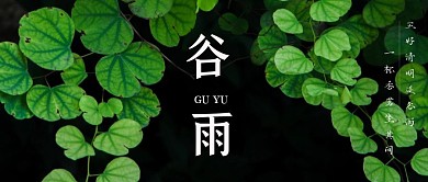 绿色简约谷雨时节诗词公众号封面
