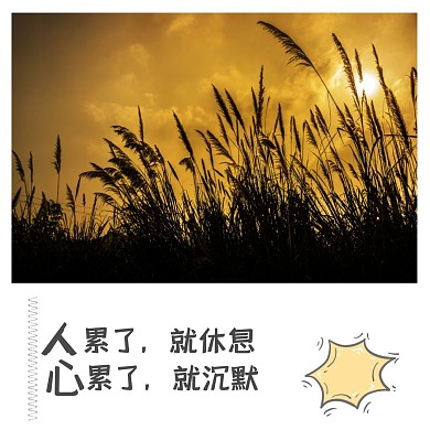 心累颓废夕阳公众号配图