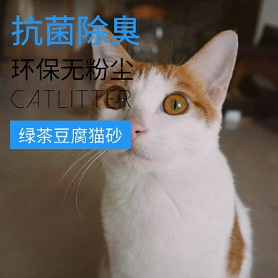猫砂主图 猫砂 抗菌