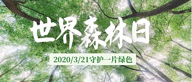 世界森林日绿色小清新公众号封面