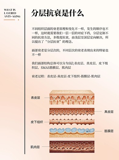 分层抗衰护肤知识科普小红书内页