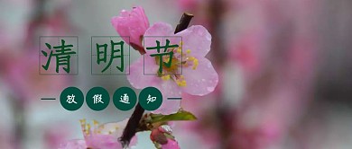 清明节放假通知简约公众号封面