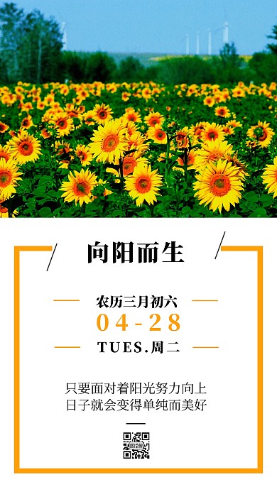 向日葵花开景色简约黄色早安日签
