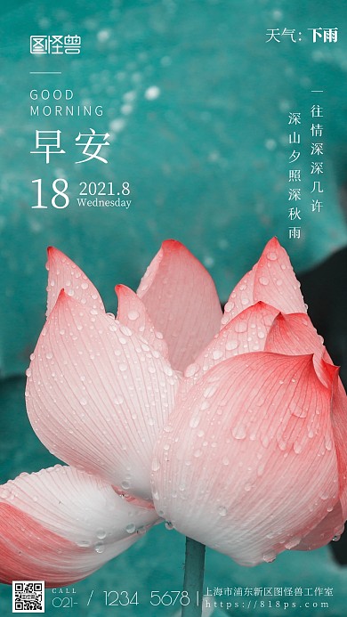 雨天早安荷花白色简约风摄影图海报