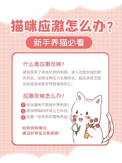 新手养猫宠物应激猫咪小红书封面
