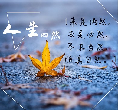 枫叶心情配图朋友圈封面