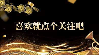 黑金大气感谢关注关注主题抖音背景图