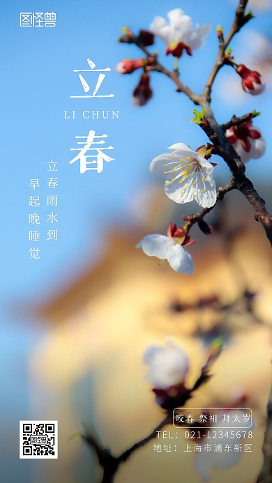 立春节气习俗白色摄影手机海报