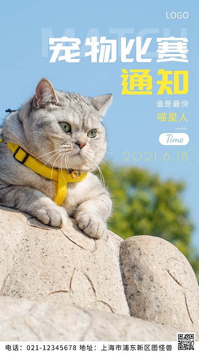 摄影图宠物比赛通知白色简约风摄影图海报