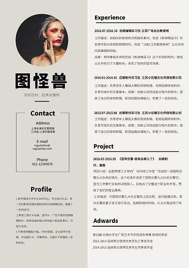 欧美风简历个人简洁办公文档