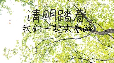 清明简约踏春公众号封面模版