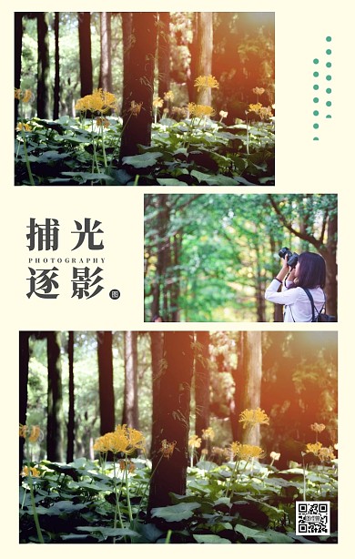 小清新三张照片竖版拼图