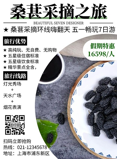 2020桑葚采摘简约高端创意旅游宣传海报
