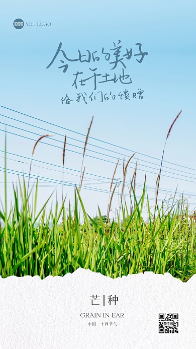 清新芒种节气摄影图海报