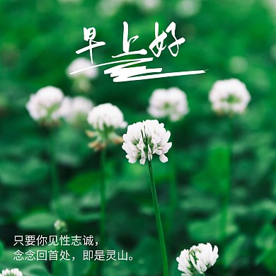 早上好文艺绿色植物清新小天早晚安