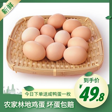 农家鸡蛋简约大气绿色主图直通车